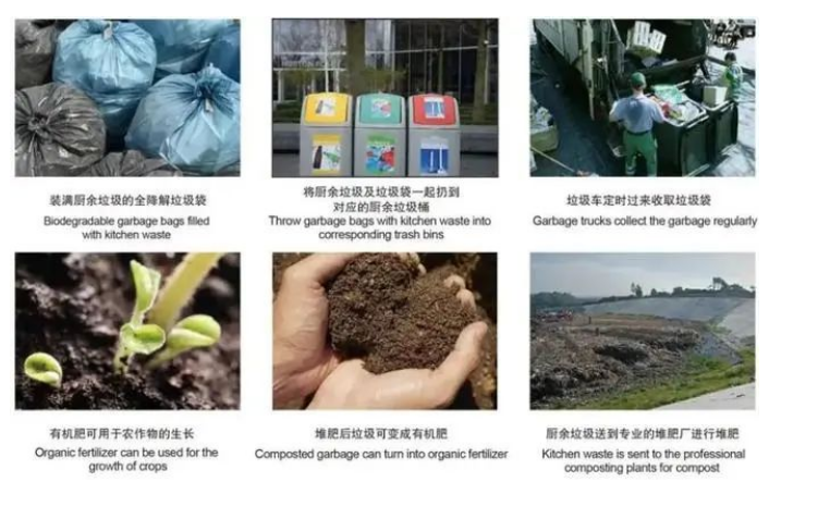欧盟新包装法规,再生含量、生物降解堆肥、可回收性定义、回收和重复使用目标,引争议(图1)
