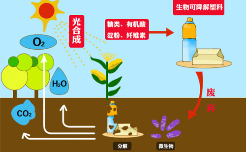 知名厂家带你来看可降解包装袋的市场优势(图1)